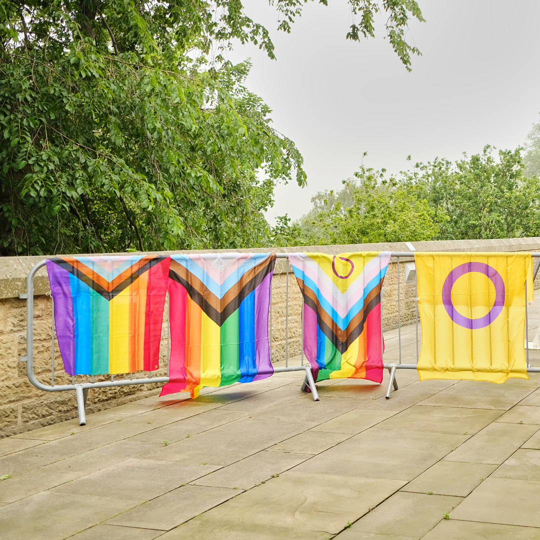 Pride progress flags hanging outside on a background of trees