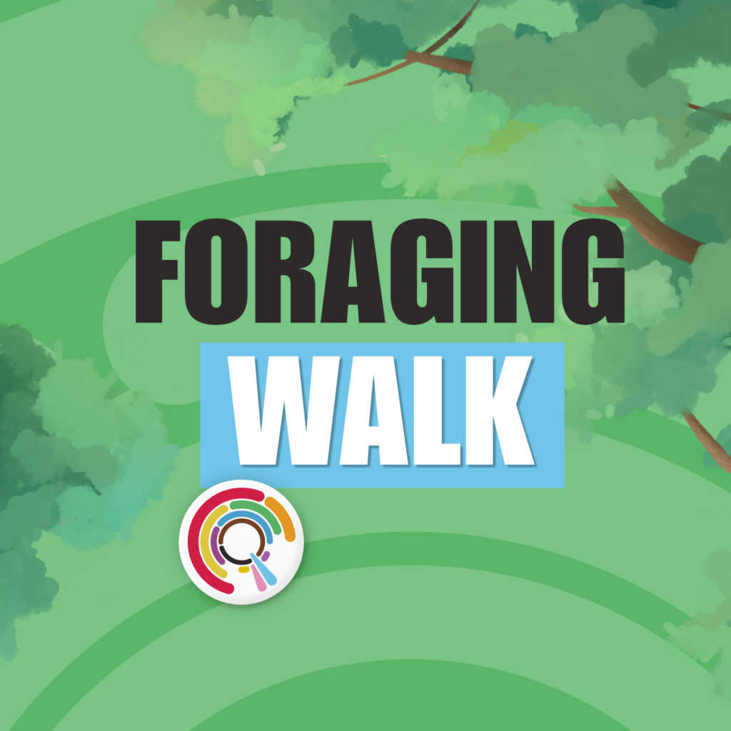 Foraging Walk
